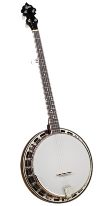 Bluegrassov� banjo Rover RB-115