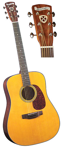 Kytara Blueridge BR-4060